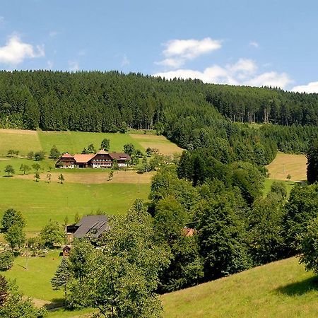 Riehle Hof Apartment Zell am Harmersbach Luaran gambar