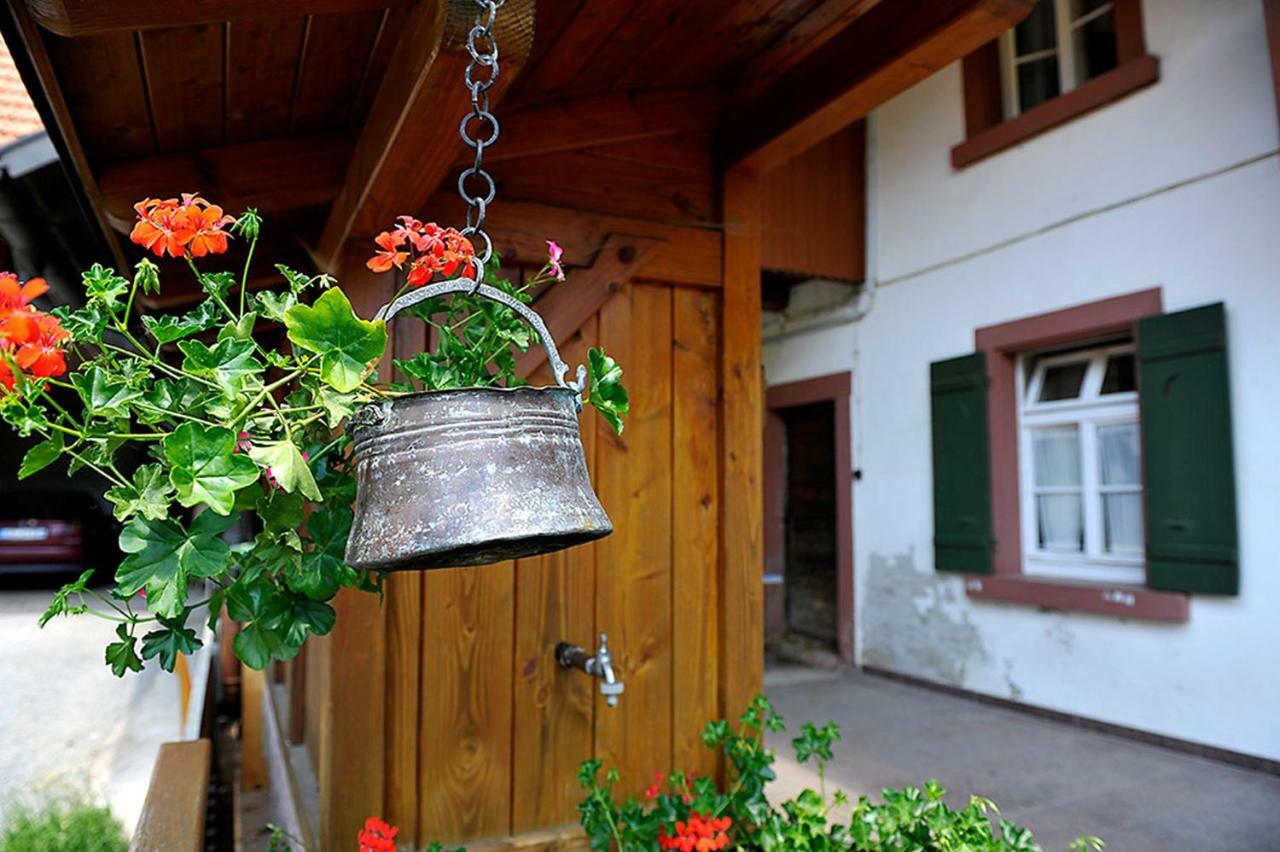 Riehle Hof Apartment Zell am Harmersbach Luaran gambar