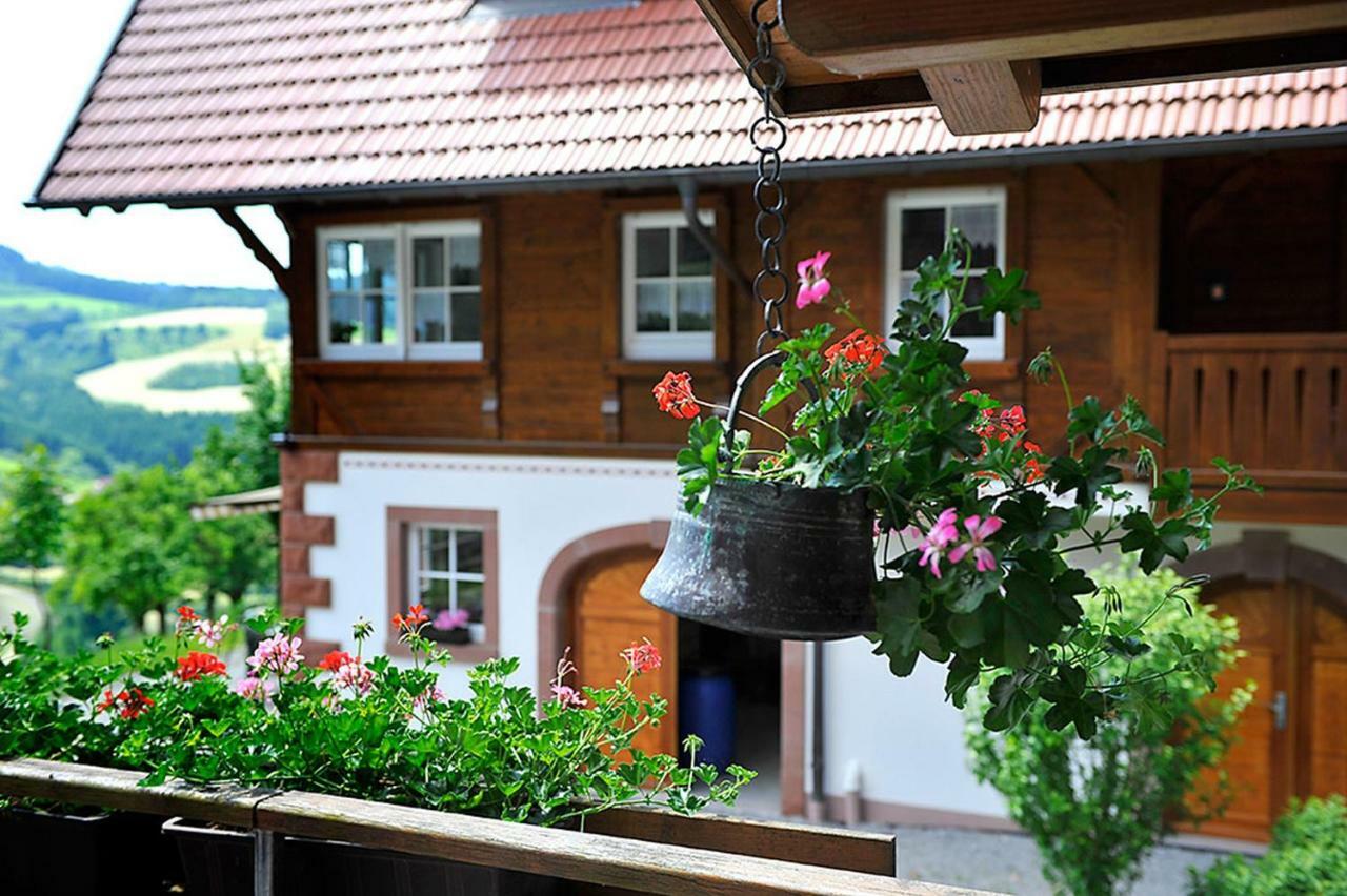 Riehle Hof Apartment Zell am Harmersbach Luaran gambar